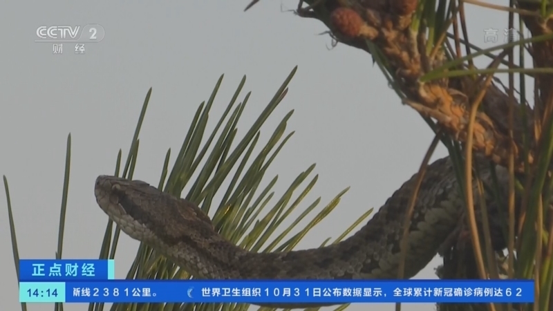 正点财经 《正点财经》 20221101 14:00