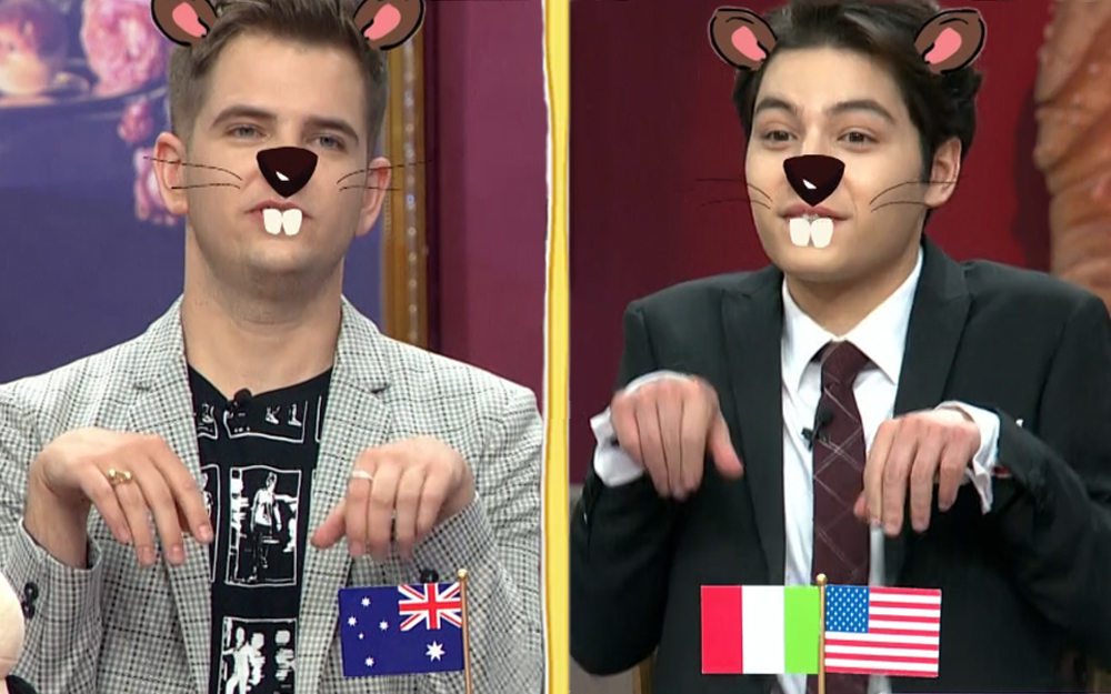 非正式会谈 第5季 大会员专享福利 好暖！各国是如何保护萌物的？