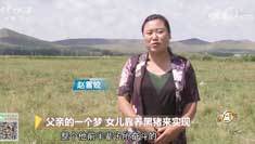 致富经 [致富经]父亲的一个梦 女儿靠养黑猪来实现 20181008