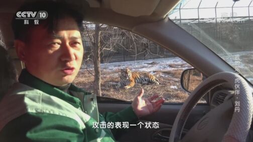人物&middot;故事 《人物·故事》 20200729 我的东北虎伙伴·刘丹
