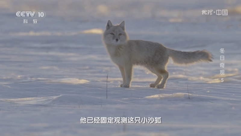 地理中国 《地理·中国》 20231229 冬日奇观5