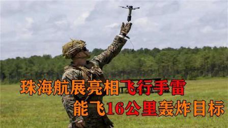 军事科技 手雷不用扔轰炸全靠飞？我国造出飞行手雷，16公里外自动爆炸