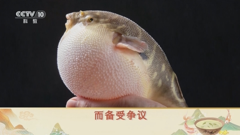 百家讲坛 《百家讲坛》 20250222 诗中宋宴 3 正是河豚欲上时