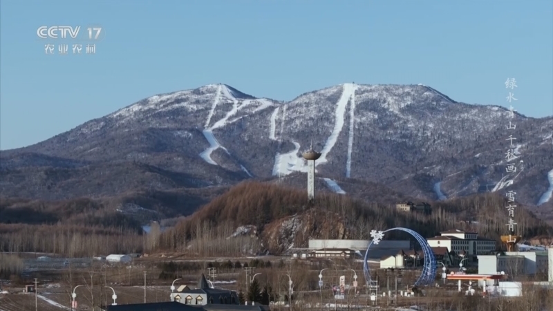 《绿水青山千秋画》 雪育青山