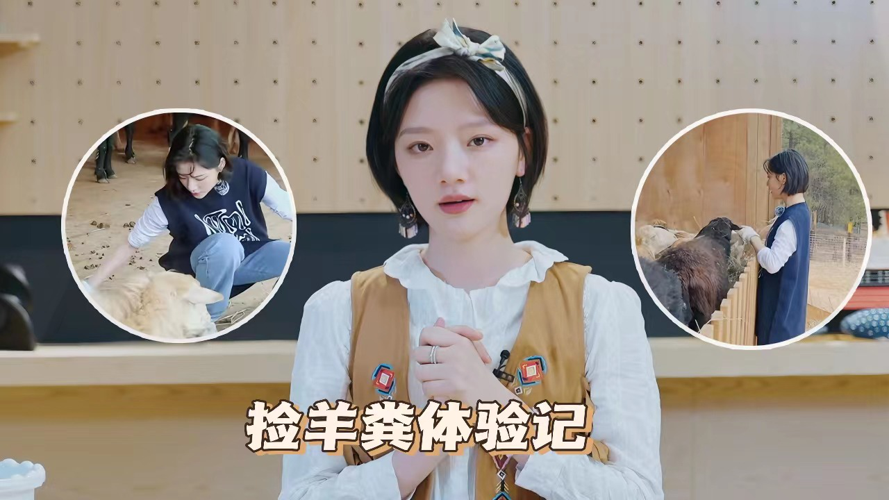 五十公里桃花坞 第3季 坞里都知道：任敏手工小课堂