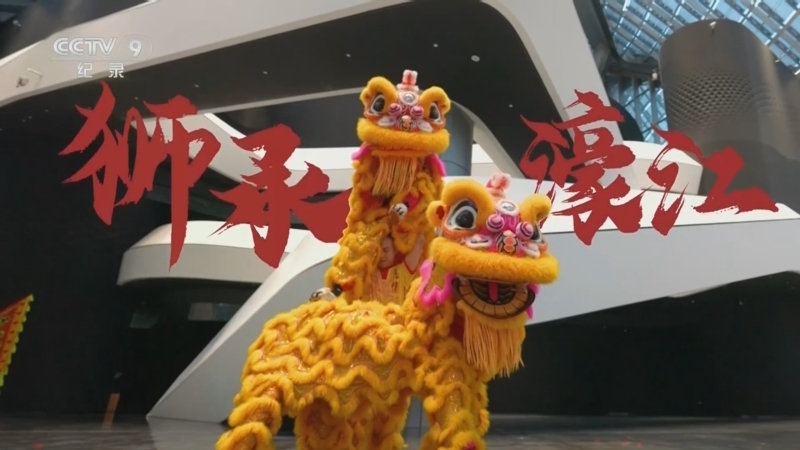 我与湾区共成长 《我与湾区共成长》 第8集 狮承濠江