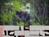 地理中国 《地理中国》 20110712 石山精灵