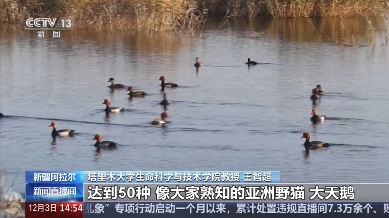 新闻直播间 《新闻直播间》 20251203 14:00