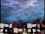 自然传奇 天生杀手之暗战珊瑚礁 自然传奇20110110