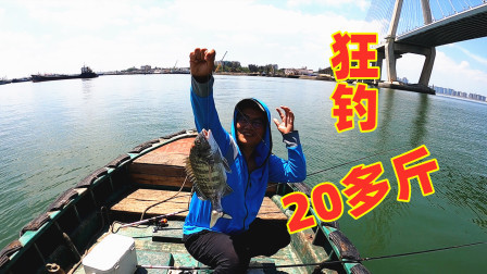 思乡渔夫赶海 渔夫开挂放大招，狂钓20多斤黑鲷价值1000多，全给老爸做大餐
