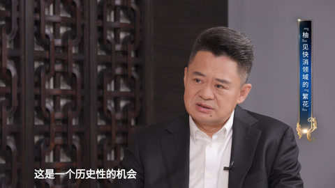 醇享人生 醇享人生“柚”见快消领域的“繁花”
