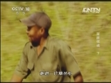地理中国 草原惊魂 下《地理中国》 20130402