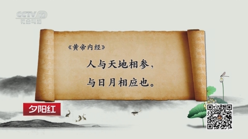 《夕阳红》 20260724 伏天养生正当时（2）