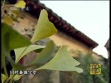 《梦华涛雒》