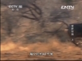 地理中国 《地理中国》 20130401 草原惊魂（上）