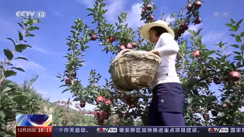 新闻直播间 《新闻直播间》 20221225 10:00