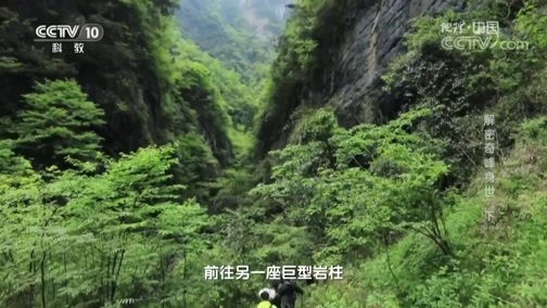地理中国 《地理中国》 20190321 秘境洞天·解密奇峰身世（下）