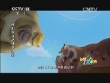 周末动画片 《周末动画片》 20140927 19：00 1/2