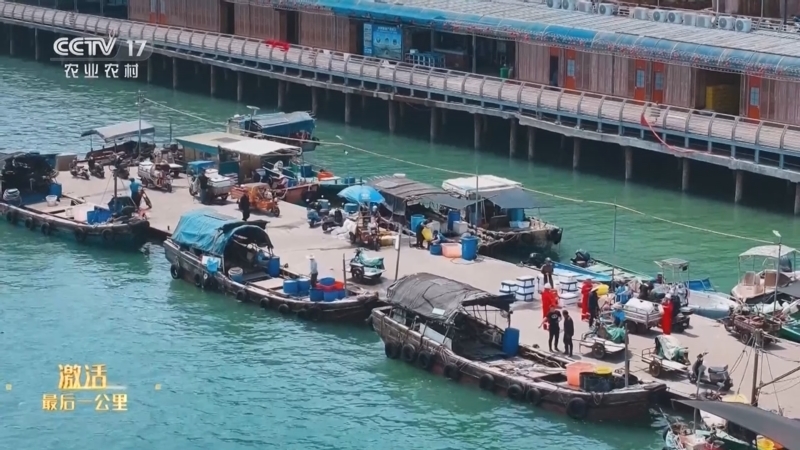 《激活最后一公里》 20251210 广东湛江 极速冷冻 海产锁鲜寄递全国