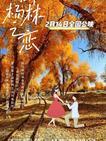 胡杨林之恋