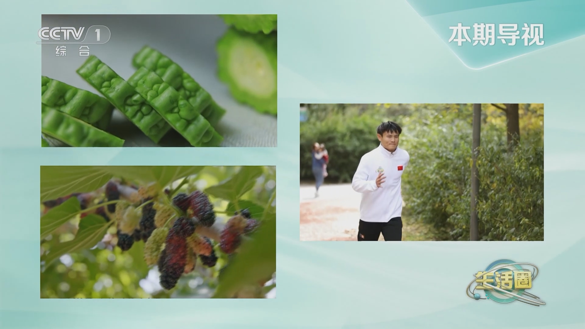 生活圈 《生活圈》 20231101