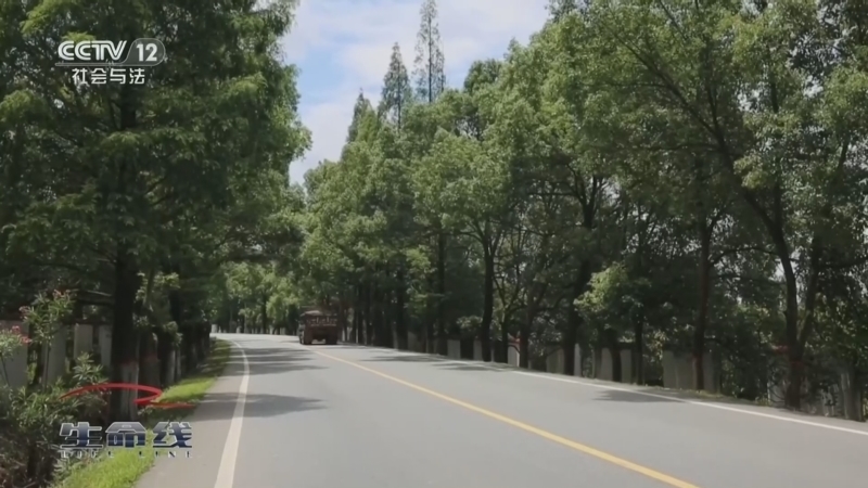 《生命线》 20260309