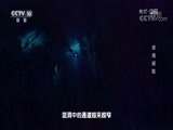 地理中国 《地理中国》 20180419 地球日特别节目·深海探险