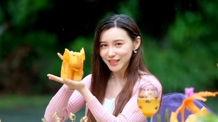 民宿里的中国 第二季 打卡人间秘境西双版纳，与大象温情邂逅
