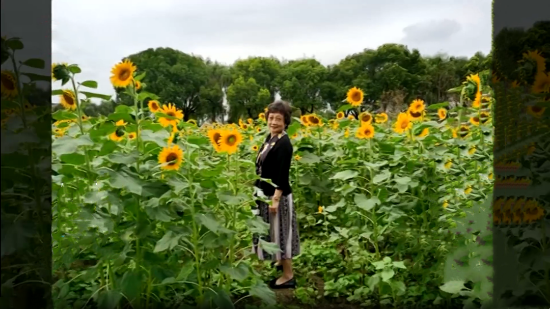 嘉善高铁休闲游