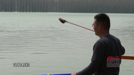 钓鱼的故事 回望镇江 这里是否有您的影子