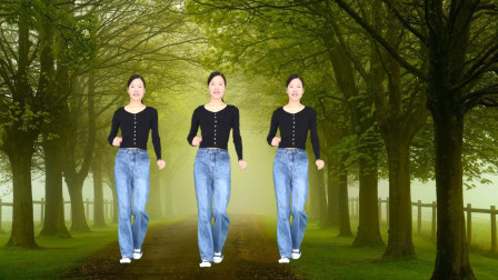 一支超火爆英文DJ音乐《Eudemon》步子广场舞