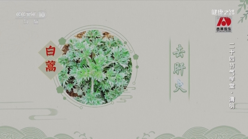 健康之路 《健康之路》 20220405 二十四节气学堂·清明
