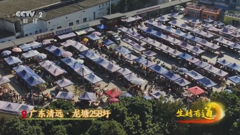 生财有道 《生财有道》 20250205 走！逛大集去——岭南“趁圩”品年味