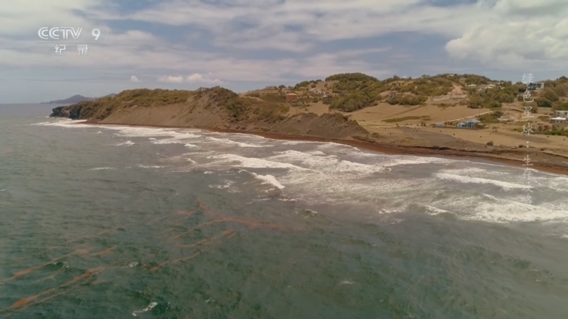 《绿色星球 生存攻略》 第2集