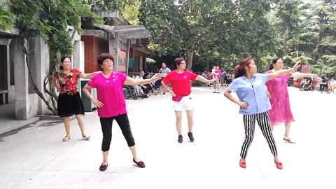 广场舞 广场舞《零度桑巴》
