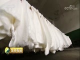 生财有道 《生财有道》 20180212 红火的年货 满满的商机