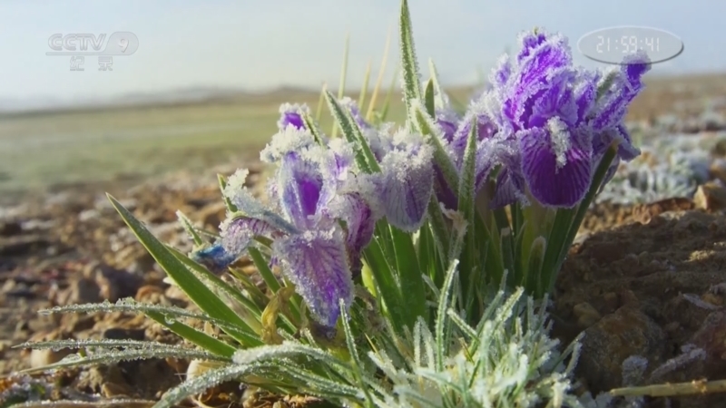 《国家公园 小小世界》 第10集