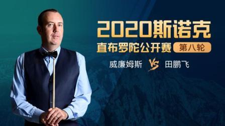 2020斯诺克 田鹏飞VS马克-威廉姆斯
