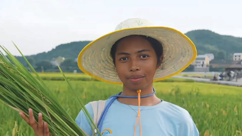 突尼斯婕尼跨越山海 聆听中国巨稻的故事