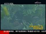 面对面 听王宝强讲述自己