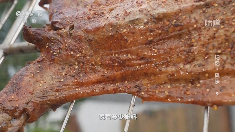 味道 《味道》 20250116 记忆·风味（9）