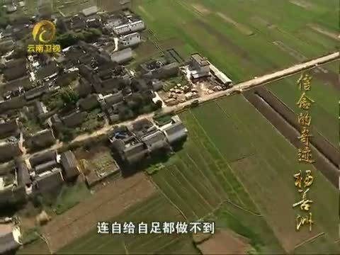 情暖人间 《情暖人间》 20121110 信念的奇迹 杨善洲