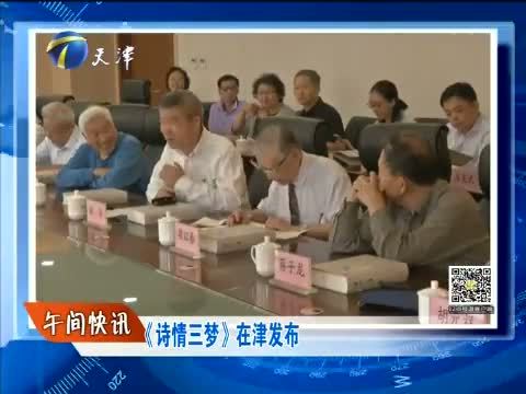 12点报道 《12点报道》 20150919