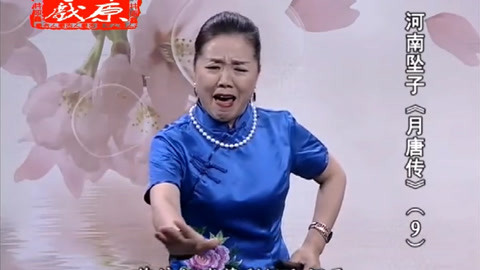河南坠子 河南坠子《月唐传》