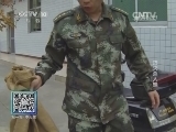 我爱发明 《我爱发明》 20140614 巧灭杀人蜂