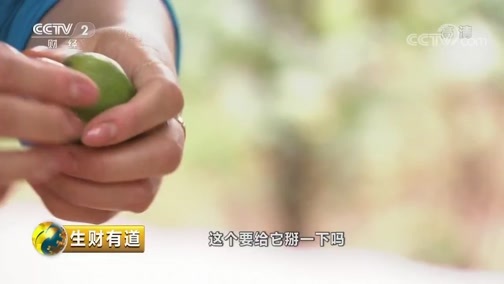 生财有道 《生财有道》 20190711 夏日经济系列 云南元江：芒果飘香财富来