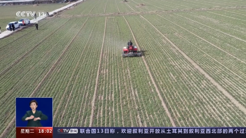共同关注 《共同关注》 20230214
