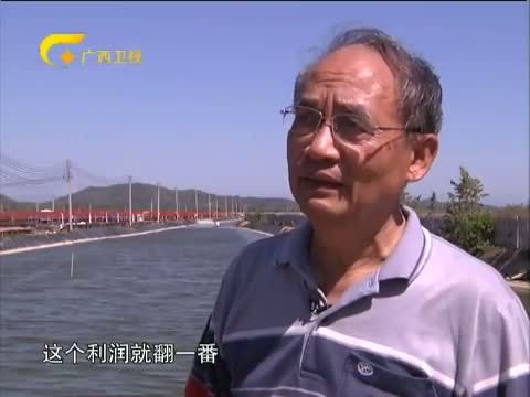 走南闯北广西人 《走南闯北广西人》 20141213 “夫妻主席”的八桂情