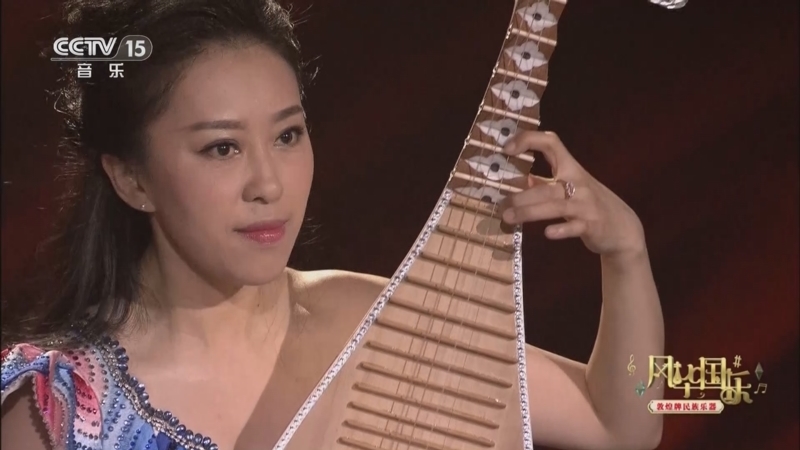 风华国乐 《风华国乐》 20240904