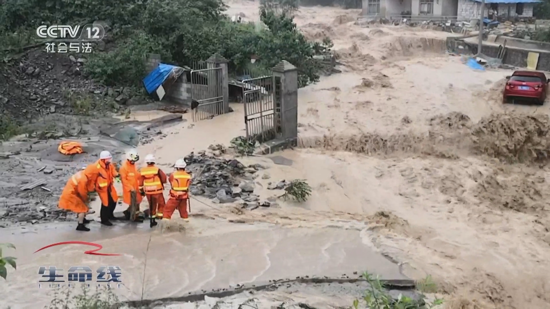 生命线 《生命线》 20241204